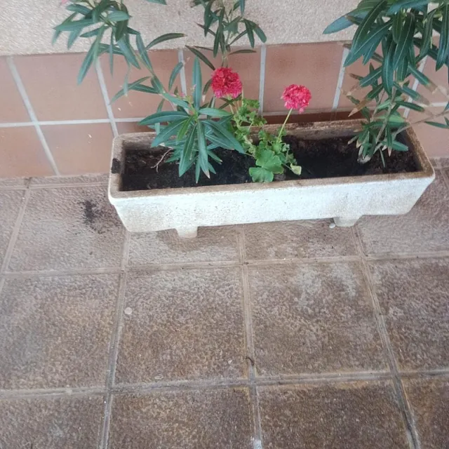 Girasoles Jardineros trabajos realizados